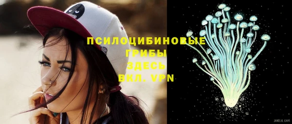 apvp Абдулино