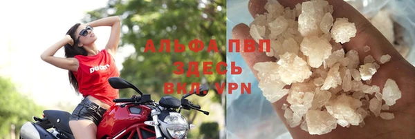 PSILOCYBIN Абаза
