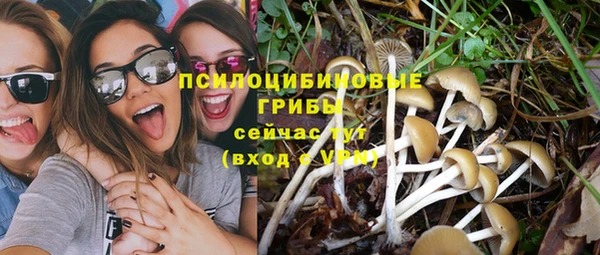 apvp Абдулино