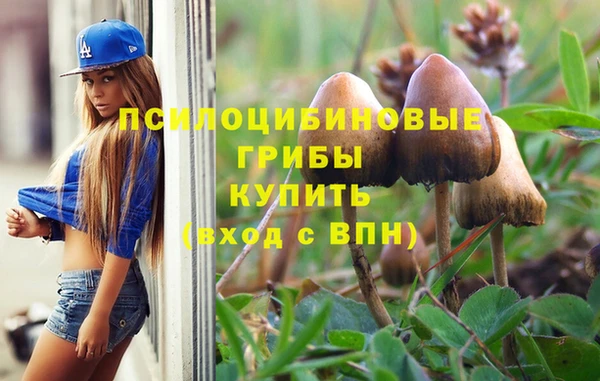 PSILOCYBIN Абаза