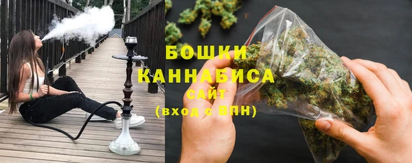 PSILOCYBIN Абаза